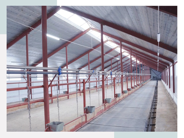 Строительство коровников в Краснокамске от 608 руб.