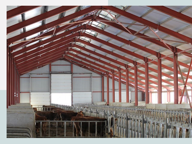 Строительство коровников в Краснокамске