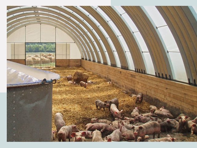 Строительство свинарников в Краснокамске