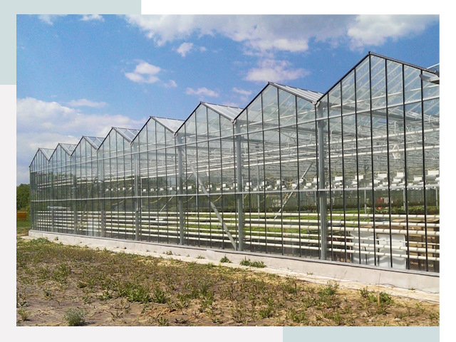 Строительство теплиц в Краснокамск от 608 руб. за м²